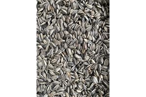 Deutsche gestreifte Sonnenblumenkerne 25 kg von Heinrichs Agrar aus der Layenmühle