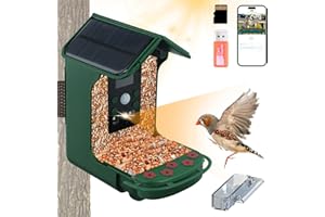 TOWWOO Macchina Fotografica Dell'Alimentatore Per Uccelli, Fotocamera Intelligente Ad Alta Definizione 1080p Per Birdhouse, Dotata Di Fotocamera E Pannello Solare 5w, Fotocamera Impermeabile All'Aperto Per B