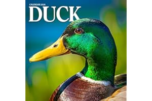 Duck 2026 Calendar: Charming Waterfowl and Wetland Beauty