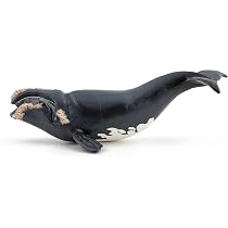 Papo Figurine Cachalot Réaliste – Peinte à La Main – 26 X 8,2 X 7,3 Cm – Jouet éducatif Dès 3 Ans – Idée Cadeau Océan – Fabriqué En France – Collection Monde Marin