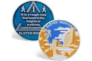 GENERIC 11 Month Sobriety Coin AA Chips and Medallions Eleven Month Sobriety Chip Sobriety Gifts for Men Women Alcoholics Anonymous Gifts Addiction Recovery Gift