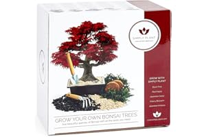WAM BAM BOO Bonsai Tree Kit - Grow Your own Kits Bonsai Tree Indoor Plant with All of The Bonsai Tools You Need, Gardening Gifts (Red Maple Bonsai Kit)