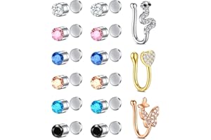 Rajnard Faux Piercing Nez Anneaux Aimante Faux Piercing Nez Acier Chirurgical Faux Helix Tragus Piercing Faux Labret Stud Non-percés Piercings de Bijoux pour Femmes Hommes