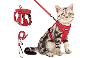PetBonus Harnais et laisse réglables pour chat, anti-fuite, respirant, pour la marche, facile à contrôler, laisse réfléchissante et harnais pour chats, chatons, chatons (rouge, taille XS)