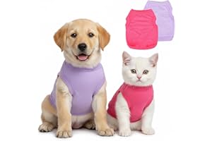 CIATBYYJ Lot de 2 vêtements pour chiens de petite taille (femelle) – Chemise douce pour chihuahua mignon – Vêtements respirants pour animaux de compagnie – Style toute l'année avec tenue style réservoir