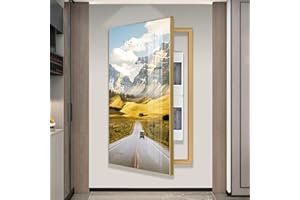 Hengqiyuan Scatola Elettrica Contatori Copertura Scatola di Distribuzione Contatore Flip Quadro Elettrici Contatori per Pittura Nascondi Dipinti Decorazione,E （Gold）,40 * 60cm