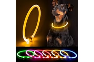 Hundehalsband Leuchtend DQGHQME LED Leuchthalsband Hund USB Aufladbar Wasserfest Leuchtendes Halsband Hund Langhaar Längenverstellbar für Kleine Mittel Große Hunde bei Nacht - mit 3 Leuchtmodi, Gelb