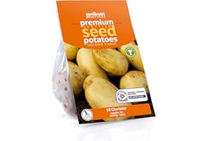 Jamieson Brothers 10 Tuber Charlotte Seed Potatoes – JBA Second Early Grow Your Own Spuds – for Salads, Mashing & Boiling – Scottish-Grown & Ready to Plant at Home in Pots, Gardens & Allotments
