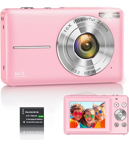 Panasonic Lumix DMC-FS7 10.1MP Digital Camera with 4x Optical