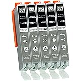 5 Cartucce Per Stampanti con Chip compatibile con Canon CLI-551 (Grigio) per Canon Pixma IP8700 IP8750 MG6300 MG6350 MG7100 M