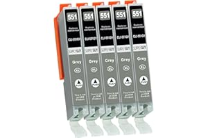 Supply Guy 5 kartridże z czipem kompatybilne z Canon CLI-551 GY grey szary IP8700 IP8750 MG6300 MG6350 MG7100 MG7150 MG7500 MG7550