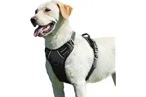 Eagloo Arnes Perro Grande Mediano, Arnes Antitirones Perro Antiescape, Chaleco Acolchado Ajustable, Anillos de Pecho y Espalda, Transpirable con Cinta Reflectante, Ejercer Correr, L Negro