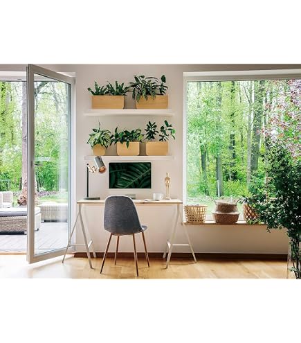 Luminora Bücherregal-Hintergrund 2,15 X 1,5 M – Weiß Mit Grünen Pflanzen, Aus Polyester, Für Foto, Party & Klassenzimmer