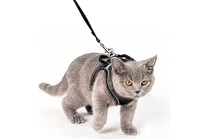 Brifit Cat Harness and Leash, Soft Mesh Escape-Proof Cat Harness and Leash Set for Walking, Adjustable Reflective Vest Harness, Puppy Harness and Lead Set, for Small Cats Outdoor Training (XXS Black)