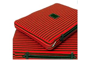 Zings Almohadilla o cojin para Llevar a los toros, a Las gradas del Estadio es de Color Rayas Verde y Rojo, Relleno de Espuma