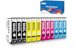 OINKWERE 604XL Cartuchos de Tinta Paquete de 12 Compatibles para Epson 604 XL Cartuchos para Expression Home XP-2200 XP-2205 XP-3200 XP-3205 XP-4200 XP-4205 Workforce WF-2910 WF-2930 WF-2935 WF-2950