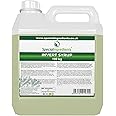 Invert Syrup (Inverted Sugar Syrup) 100kg Premium Quality Non-GMO, Gluten Free – Recyclable Container