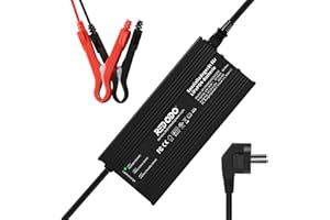 Redodo caricatore LiFePO4, caricatore rapido AC-DC per batterie (24V20A)
