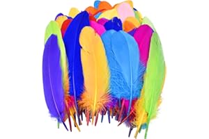 Olinner 100pcs 15-20cm Piume Colorate Piume per Artigianato Piume d’Oca Naturali Piume Indiane Piume di Colore Misto per Fai da Te Orecchini Matrimoni Acchiappasogni Piume per la Testa Baby Shower