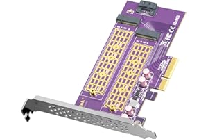 ‎10GTEK 10Gtek 2-Port M.2 NVMe PCIe 3.0 X4 Adapter Card M-Key and B-Key, Support M.2 NVMe SSD and M.2 SATA SSD