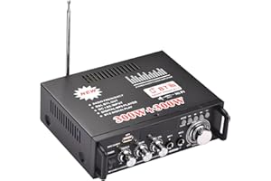 Docooler 600W Amplificatore Audio,HiFi Audio Stereo Bluetooth Radio Portatile per Auto o Casa, con Telecomando ed Mini Display 2CH LCD, 12 V / 220 V