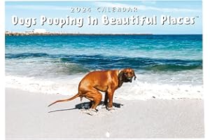 GENIKEER Calendrier Mural Mensuel 2024, Pooping Dogs Calendar, Calendrier Chat Chien Caca 2024, Dogs Pooping In Beautiful Places Calendar 2024, Calendriers Muraux Art 2024 Cadeaux Pour Noël Nouvel An