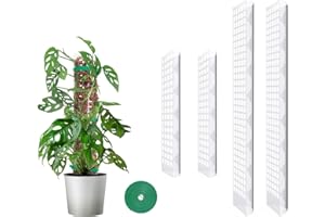 MIXC Moosstab Rankhilfe Zimmerpflanzen 2 Stück 61cm und 2 Stück 38cm Pflanzstab Plastik Pflanzenstütze für Monstera Kletterpflanzen mit 1.5m Pflanzenbänder Klett