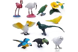 SIENON 10Pcs Mini Birds Figures, Plastic Bird Animal Toys, Realistic Bird Animal Figurines, Miniature Bird Animal Model Flamingo, White Ibis, Parrots, Hummingbird Educational Toy Cake Toppers
