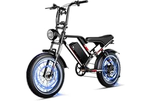EGGKING Bicicletta Elettrica 20" x 4.0 Fat Tire, Doppia Sospensione e 7 Velocità Bici Elettrica, E-Bike per Adulti, Batteria Rimovibile 48V 17.5/25 Ah, Display e Controllo APP