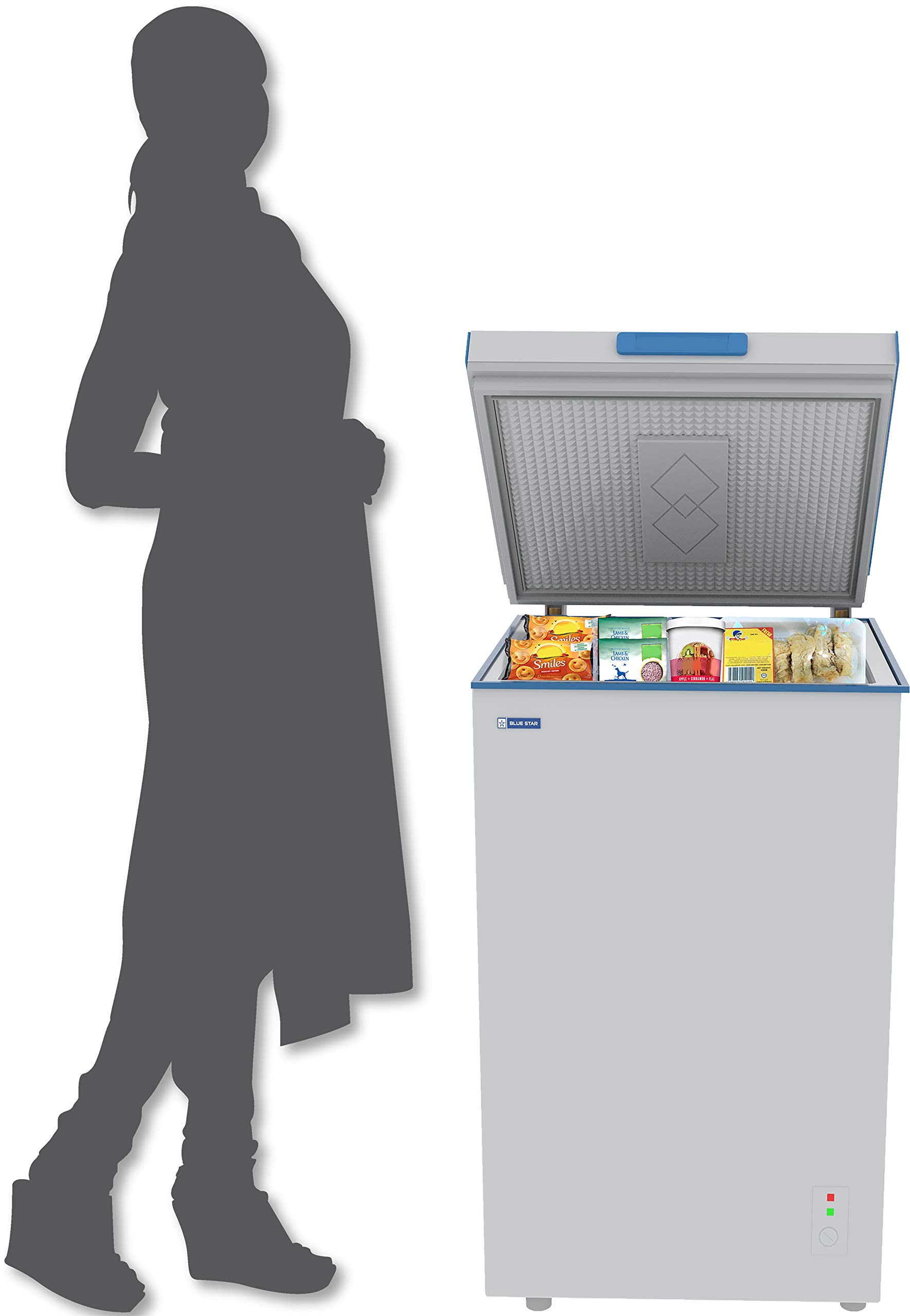 Blue Star CF3-125DSW Single Door Deep Freezer (95 Ltrs, White) - Image 9