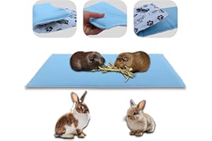 NEO SOLVO Polaire Modulable 3 en 1 - Couverture, Coussin et Tunnel Géant pour Cochon d'Inde et Lapin - 35x70 cm - C&C 2x1 - Bleu