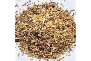 Kampol 25 kg O-Mix Fein Universelle Mix-Mischung