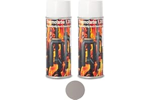 AD-IDEEN 2 Stück Ofenlack 1200°C Ofenspray Ofenfarbe Thermolack 2x Gussgrau Hell 400ml