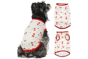 AVUELOI Magliette per Cani, modello di zucca Maglietta In Cotone Lavorato A Maglia Per Cani E Gatti Di Piccola Taglia, Maglia Cane Taglia Piccola Maglioncino Sottile Cane per Cani per Halloween