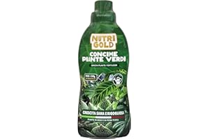 NutriGold® fertilizante Plantas Verdes | Abono para Plantas de Interior y Exterior - Fórmula Anti Amarilleo que Resalta el Verde - Nutrientes Km0 - Líquido 700g + 50g Gratis