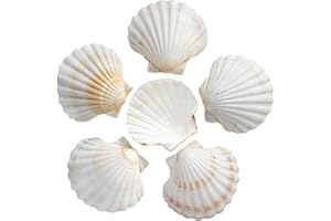 SKOOLOVE 10PCS Scallop Shells, 4-5 in Large Shells, Natural Sea Shells, Sea Shells for Painting, Shells for Crafting,Cooking, DIY Fish Tank, Vase Filler