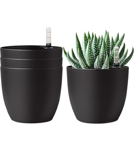 Vis à Tête Cylindrique Hexagonale 12.9 Acier Noir M6 M8 M10 M12 - Filetage Fin, Haute Résistance