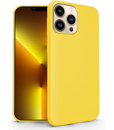 NALIA Chiaro Cover compatibile con iPhone 13 Pro Custodia, Trasparente