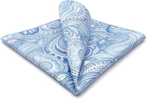 S&W SHLAX&WING Mens Pocket Square Assorted Paisley for Suit Jacket Business XL
