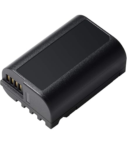 Chargeur Panasonic DMW-BTCD15E - Pour Batteries BLK22/BLF19, Compatible S9, S5II, GH6, G9II Et Autres