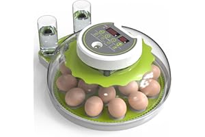 DETODDA Brutmaschine Vollautomatisch, Inkubator für hühner mit LED Beleuchtung, Brutautomat Vollautomatisch mit Temperatur- und Feuchtigkeitskontrolle, Automatischer Eierwender (Grün 18 Eier)
