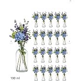 20 Adet 100 ml K&uuml;&ccedil;&uuml;k Şeffaf Cam Vazo Mini Dekoratif Şişe (&Ccedil;i&ccedil;eksiz)