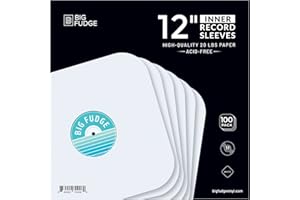 BIG FUDGE - Fundas interiores para discos de vinilo (30 cm x 100 piezas) - Protección de vinilo de papel grueso y sin ácido - Bolsa interior antiestática - Disco 33/45 torres