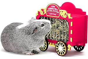 HAYPIGS Guinea Pig Toys and Accessories - Circus themed WHEEK WAGON Hay Hopper - Guinea Pig Hay Rack - Dwarf Rabbit Feeder - Hay Racks for Guinea Pigs - Hay Feeder - Chinchilla Hay Rack