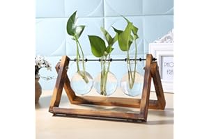 FIORKY Glass Planter Bulb Vase, Desktop Air Plant Terrarium Kit with Retro Solid Wooden Stand, Plant Propagation Stations Terrarium for Indoor Water Plants Home Garden Office Decoration Accessories