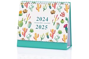 HEIGUDAN Desktop Calendar January 2024 to June 2025, One Month to View UK Desk Calendar, Portable School Year Planner for Home School Office (Cactus Style)