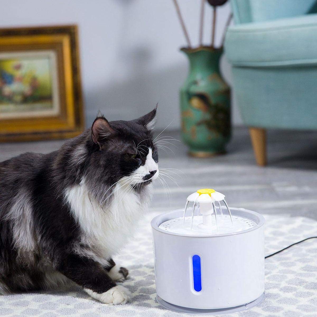 Amazon Fontaine à Eau Pour Chat Womdee Fontaine à Eau pour Chat, 2.4L Fontaine à Fleur d’eau Ultra