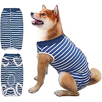 LIANZIMAU BODY CHAT Post Operatoire Femelle/Male Body Pour Chat Après