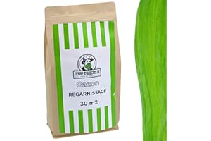 TERRE D'AUGUSTE LA TERRE DU PATRIARCHE DEPUIS 1920 Terre d'Auguste - Gazon de Regarnissage 30 M2 - Semence Pelouse Pousse Rapide, Résistante et Rustique pour Extérieur