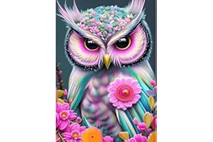 QENSPE Gufo Diamond Painting 5D Kit per Diamond Painting Adulti, Pittura Diamante Completo, Gufo Diamond Painting Kit Fai da Te per Bambini, Tela 30x40cm (Immagine 25x35cm)